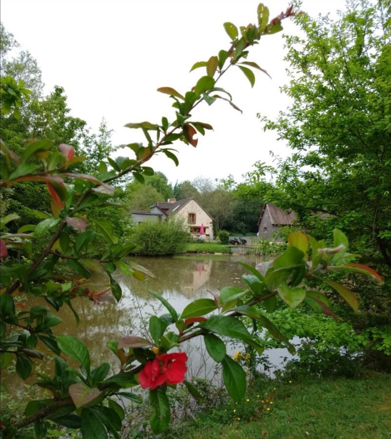 Вилла 24H Le Mans - Les Haies Gite, Near Le Mans Circuit Coulans-sur-Gee Экстерьер фото